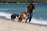 ADULTE ET CHIEN 572